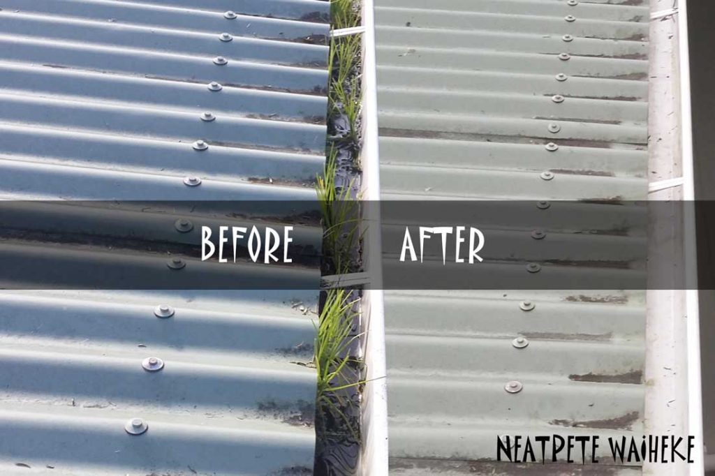 Gutter & Roof cleaning